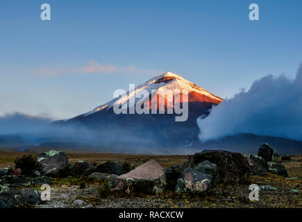 Ecuador, Cotopaxi province, Cotopaxi National Park, panorama of the ...