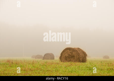 Big haystack on field captured in a foggy morning Stock Photo