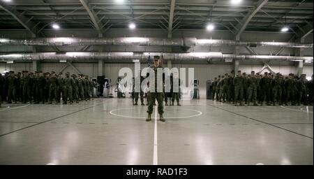 U.S. Marines stand together at attention at the introduction of the transfer of authority ceremony on Mihail Kogalniceanu Air Base, Romania, Jan. 26, 2017. BSRF 16.2 was relieved by BSRF 17.1 after their six month deployment that included operations with 14 partner nations in Europe. The Marines are with BSRF 17.1 (right) and 16.2 (left). Stock Photo