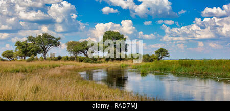Typical african landscape with wild river in national park Bwabwata on Caprivi Strip, Namibia wilderness Stock Photo