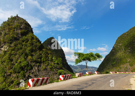 Single tall green tree on the side of the road in Ma Pi Long pass, Ha Giang Loop, Ha Giang Province, Vietnam, Asia Stock Photo