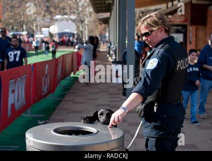 A Chicago Police Officer orders her K-9 to search a trash can at Discovery Green in downtown Houston, Jan. 31, 2017. Law enforcement agencies from across the country and U.S. territories came together to provide a safe event for fans and patrons of Super Bowl 51. U.S. Coast Guard Stock Photo