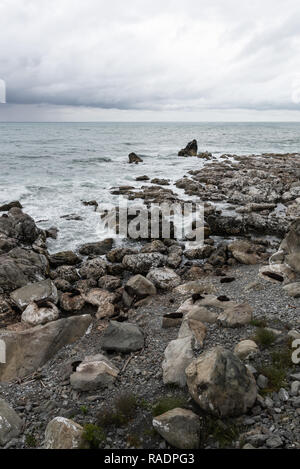 Fur seal colony at Ohau Point, north of Kaikoura, South Island, New Zealand Stock Photo