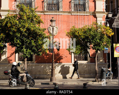 Seville, Andalusia, Spain, street scene with colourful building, typical orange trees full of fruit, and people riding a scooter. Stock Photo