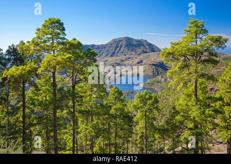 Gran Canaria, December, view from a hiking path in Inagua strict nature reserve towards freshwater reservoir Presa de Las Ninas Stock Photo