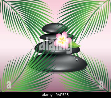 black spa zen stones and plumeria frangipani flower vector illustration EPS10 Stock Vector