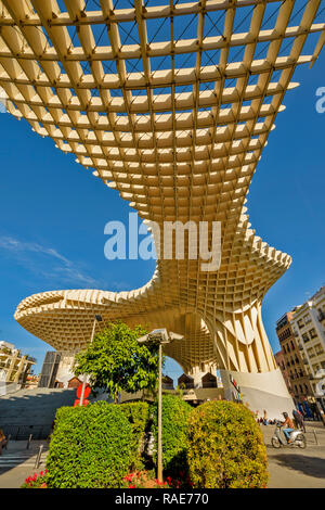 METROPOL PARASOL ENCARNACION SQUARE  SEVILLE SPAIN EARLY MORNING THE ROOF STRUCTURE AND A SMALL GARDEN