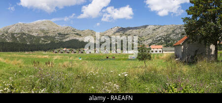 Panorama overlooking the small wooden cottages in Njegusi village, standing in a row on a green plain against the mountains on a hot summer day Stock Photo