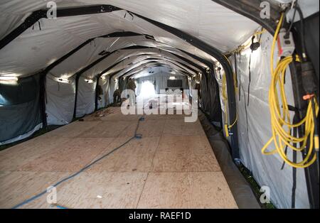 CAMP PENDLETON, Calif. (Jan. 21, 2017) - Seabees attached to Amphibious Construction Battalion 1 install flooring in a modular general purpose tent during Field Training Exercise (FTX) 2017. FTX 2017 is a scenario-based exercise designed to train and test the battalion in Seabee Combat Warfare. Stock Photo