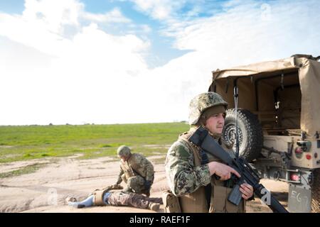 CAMP PENDLETON, Calif. (Jan. 21, 2017) - Sailors attached to Amphibious Construction Battalion 1’s force protection team practice apprehension and security drills during Field Training Exercise (FTX) 2017. FTX 2017 is a scenario-based exercise designed to train and test the battalion in Seabee Combat Warfare. Stock Photo