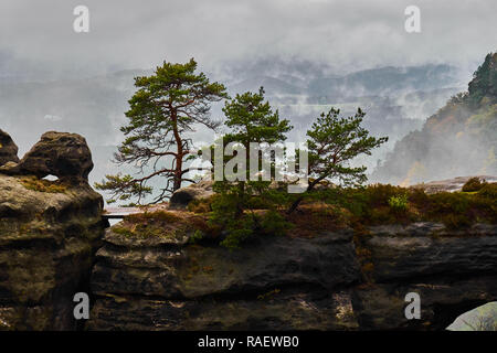 Misty foggy landscape of the Pravcicka gate (Pravcicka brana) the largest natural sandstone arch in Europe in Czech Switzerland (Bohemian Switzerland  Stock Photo