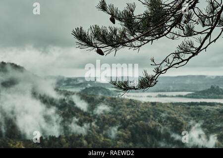 Deadpan dark misty rainy morning landscape with the sand rocky montains in Czech Saxon Switzerland in autumn colors. Stock Photo