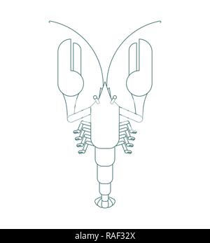 Crayfish outline Linear style isolated. Marine crustacean Delicacy. Vector illustration Stock Vector