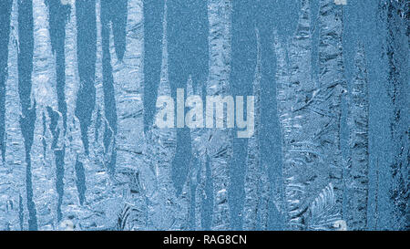 Rimy windows with beautiful patterns as tree trunks Stock Photo