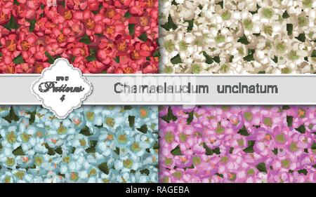 Seamless pattern Vector floral watercolor design: Chamaelaucium (wax flower) set. Rustic background for banners, invitation, greeting cards, flyers, w Stock Vector