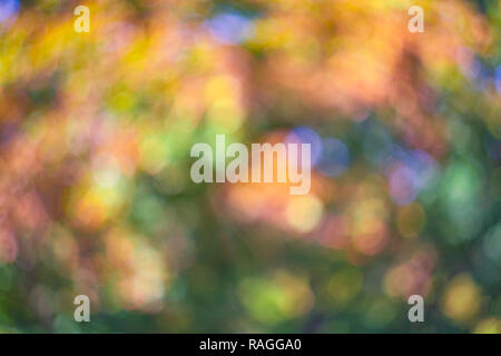 Colorful defocused background of nature leaves pattern Stock Photo
