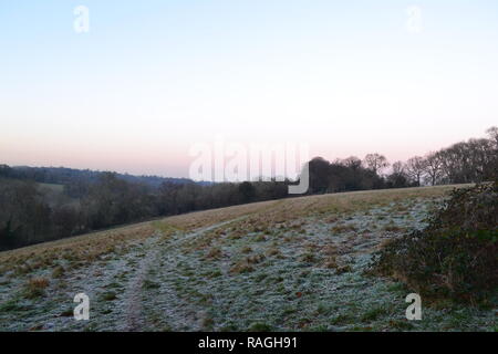 A frosty grass hillside on a clear day near Charles Darwin's Down House, Downe village, Kent, England, near Bromley and London. Mid-winter's evening Stock Photo