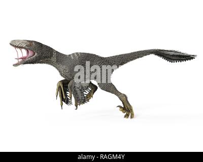 Illustration of a dakotaraptor. Stock Photo