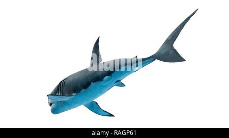 Illustration of a great white shark. Stock Photo