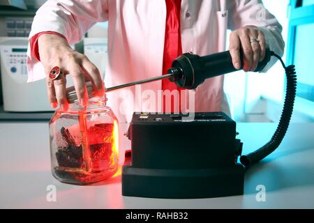 Kriminaltechnisches Institut, KTI, Forensic Science Institute, department of fire and electrical engineering, analysis of causes Stock Photo