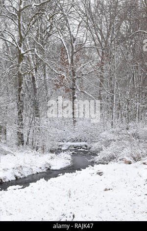 A snowy stream in the woods with grass and deciduous trees covered in snow in the country in winter Stock Photo