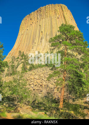 Devils Tower National Monument also known as Bear Lodge Butte, in Bear Lodge, part of the Black Hills, Wyoming, United States. The summit is 1,559 meters. Vertical shot. Stock Photo