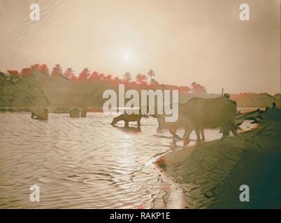 Iraq, cows in moonlight at river, or sunrise or sunset. 1932, Iraq. Reimagined by Gibon. Classic art with a modern reimagined Stock Photo