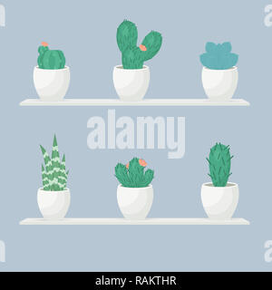 Collection of various cactus and succulent plants in  pots. Potted cactus house plants on white shelf against blue wall. Vector Stock Photo