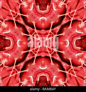 Reflected letter 'A' made from an image of the tendons inside a lamb's heart Stock Photo