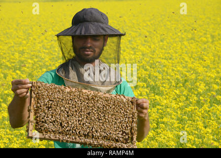 (190104) -- BEIJING, Jan. 4, 2019 (Xinhua) -- A bee keeper shows a beehive at a mustard field in Munshiganj on the outskirts of Dhaka, capital of Bangladesh, Jan. 3, 2019. Winter in Bangladesh is the most favorable season of honey production when fields of mustard in most parts of the country are in full bloom. (Xinhua)  XINHUA PHOTOS OF THE DAY Stock Photo