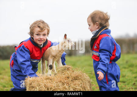 Arley, Worcestershire, UK. 4th Jan, 2019. Five-year-old Henley and two-year-old Reggie, on their family's farm near Arley, north Worcestershire, with a day-old lamb. Even though it is still winter and the traditional lambing season begins in April in the UK, these early lambs are the result of purposely leaving the tup, or ram, in with his ewes, producing new year lambs. Credit: Peter Lopeman/Alamy Live News Stock Photo