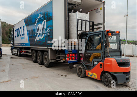 Bantry, West Cork, Ireland. 4th January, 2019. Bantry Bay caught Mussels are loaded onto trucks destined for France and Holland at Bantry fishing dock, earlier today.  The fishermen caught enough Mussels to fill two artic trucks. Credit: Andy Gibson/Alamy Live News. Stock Photo