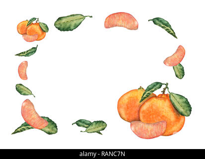 Watercolor hand drawn mandarin fruits, slices and leaves. Colorful sweet fresh tangerine set for invitation, greeting cards, design. Botanical illustr Stock Photo