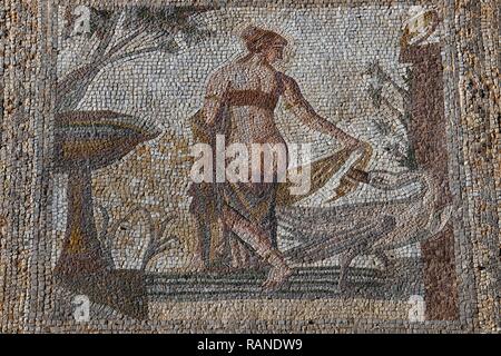 Mosaic Leda and the swan, excavation site Alt-Paphos, Kouklia, Cyprus, Mosaik Leda und der Schwan, Ausgrabungsstaette Alt-Paphos, Zypern Stock Photo