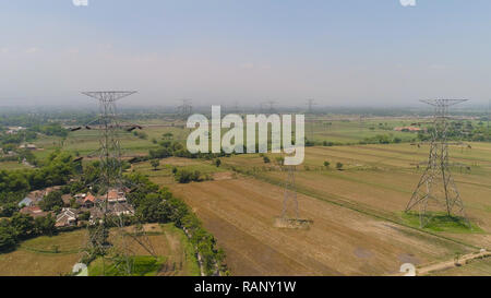 Electricity pylons bearing power supply across agricultural land with sown green, rice fields in countryside. aerial view power pylons and high voltage lines java, indonesia.High voltage metal post, tower. Electric Power Transmission Lines over trees. farmland with agricultural crops in rural areas Java Indonesia