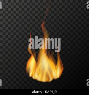 Vector realistic transparent fire flame set. Fire hot, flame fire Stock ...