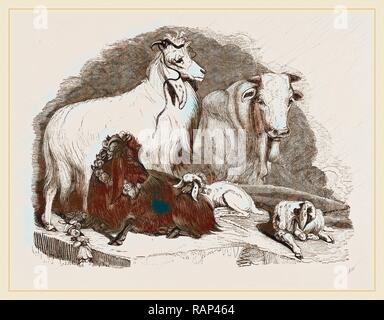 Long-eared Syrian Goats. Reimagined by Gibon. Classic art with a modern twist reimagined Stock Photo