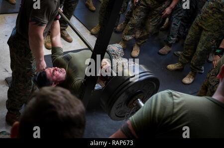 U.S. Marine Sgt. Maj. Martin J. C. Brewer, 3d Low Altitude Air Defense Battalion sergeant major, Marine Air Control Group 38, 3d Marine Aircraft Wing, bench-presses during a field meet at Marine Corps Base Camp Pendleton, Calif., Feb. 16, 2017. The semi-annual field meet was held to build camaraderie and unit cohesion within 3d LAAD. Stock Photo