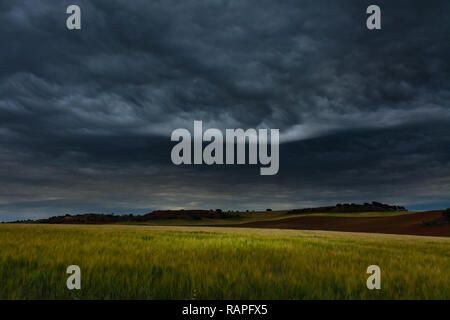 Cereal and wild fields with under a dark stormy sky Stock Photo