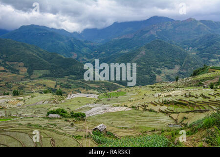 Royalty high-quality free stock image of beautiful terraced rice fields on rain season in Northern Vietnam. Stock Photo