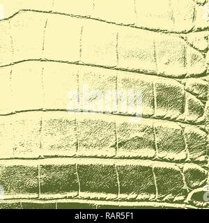 Serpent Skin Texture Stock Vector