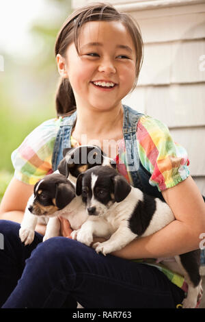 Girl holding three puppies. Stock Photo