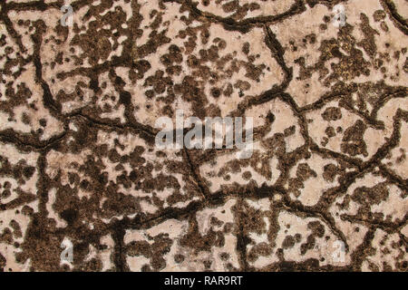 Pink plaster with black smears and stains on the wall Stock Photo