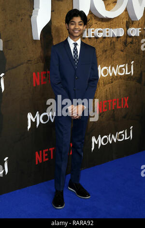 Rick Chand Rohan Chand attends a special screening of