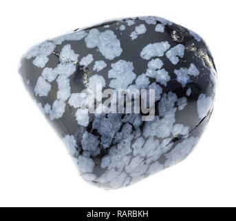 macro photography of natural mineral from geological collection - tumbled gray snowflake obsidian stone on white background Stock Photo