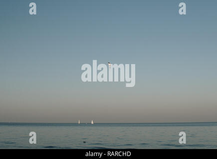 single seagull flying over calm sea during sunset Stock Photo