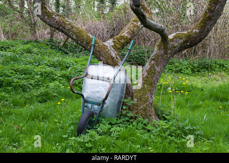 A wheelbarrow leaning on a tree in a garden. Stock Photo