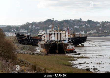 River Torridge, Bideford, North devon, England, UK. January 2019. Old fishing boats moored for living accommodation, backdrop of Bideford. Stock Photo