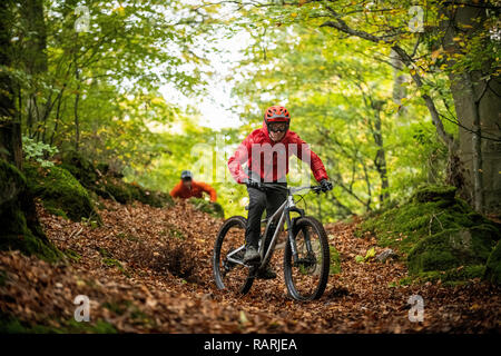 Two men ride mountain bikes on a trail in the Wye Valley. Forest of Dean, United Kingdom. Stock Photo