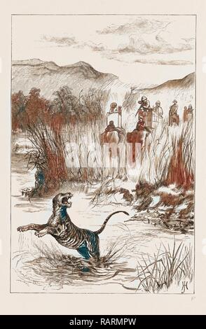 THE PRINCE OF WALES HUNTING IN THE TERAI: SHOOTING A TIGER FROM THE RIVER BANK, 1876. Reimagined by Gibon. Classic reimagined Stock Photo